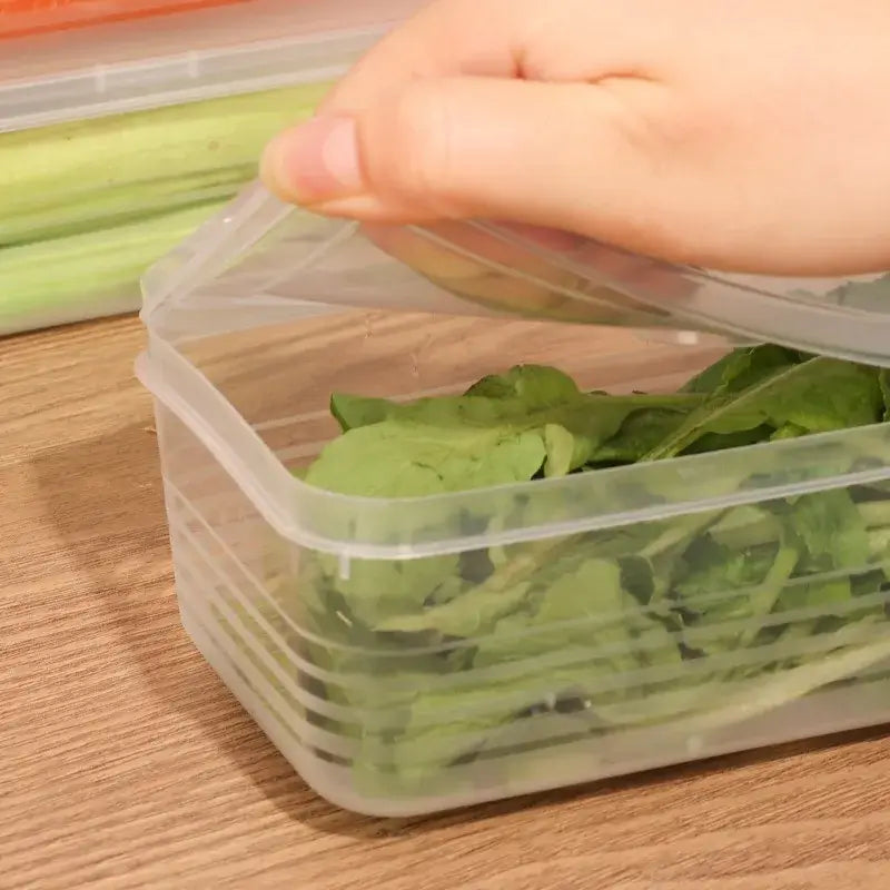 Organizador de geladeira  FreshCube